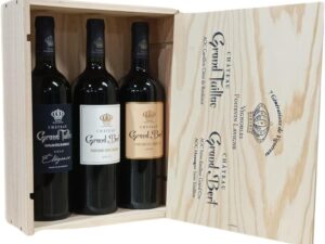 Wein-Präsentkörbe – Bordeaux-Rotwein – Saint Emilion Grand Cru & Castillon Côtes de Bordeaux – Weinbox-Geschenkbox