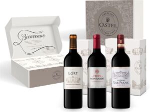 Wein-Präsentkörbe – Geschenkset Goldmedaillengewinner Bordeauxwein – Trockener Rotwein: Château du Lort – La Croix Montlabert – Châteaux Tour Prignac (3 x 0,75 L)