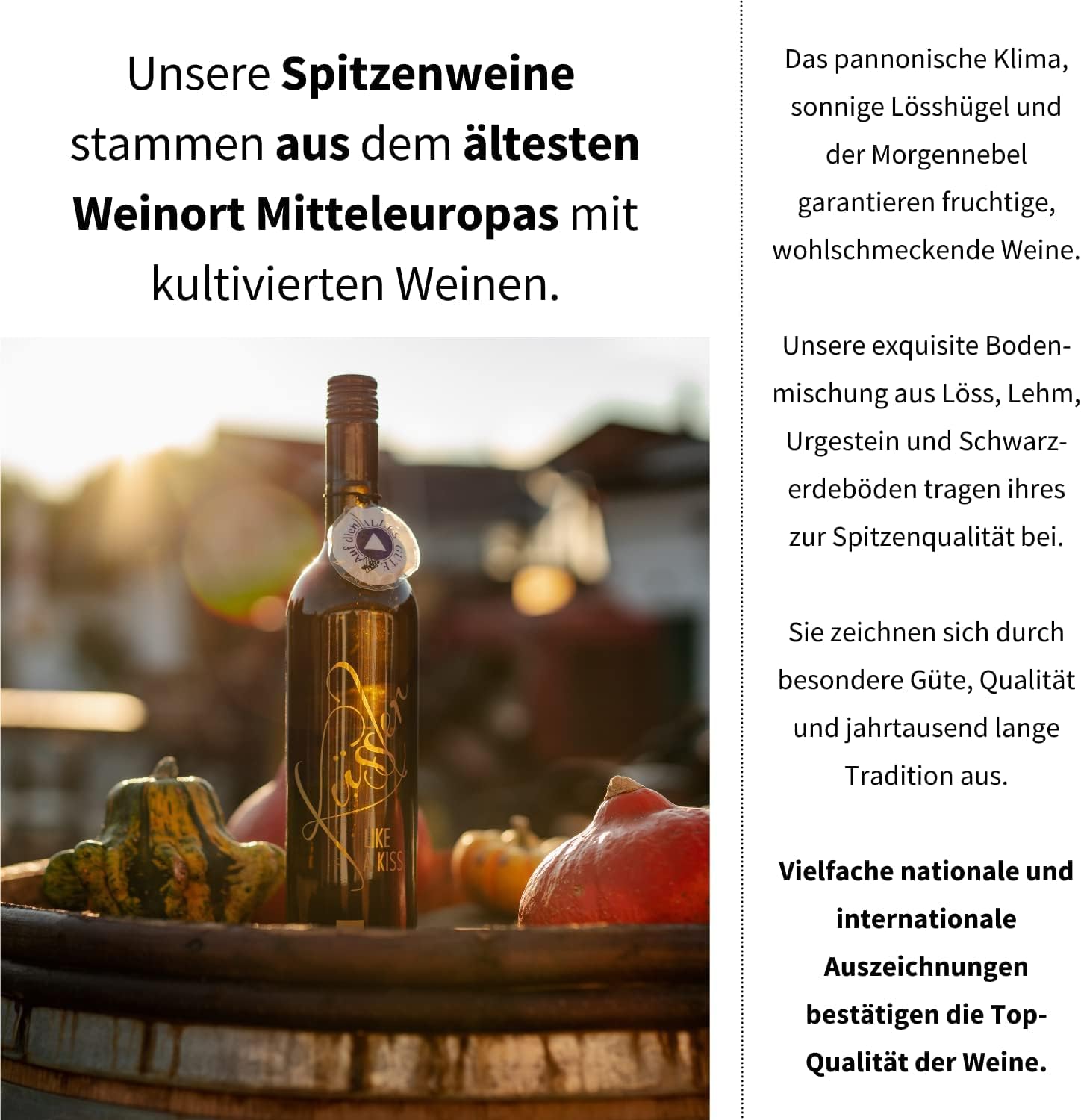 Wein-Präsentkörbe - Singender Wein zum Geburtstag – Ein Cuvée Weiß mit eigenem Geburtstagslied – in nachhaltiger Geschenkbox – Das ideale Weingeschenk! – Bild 8