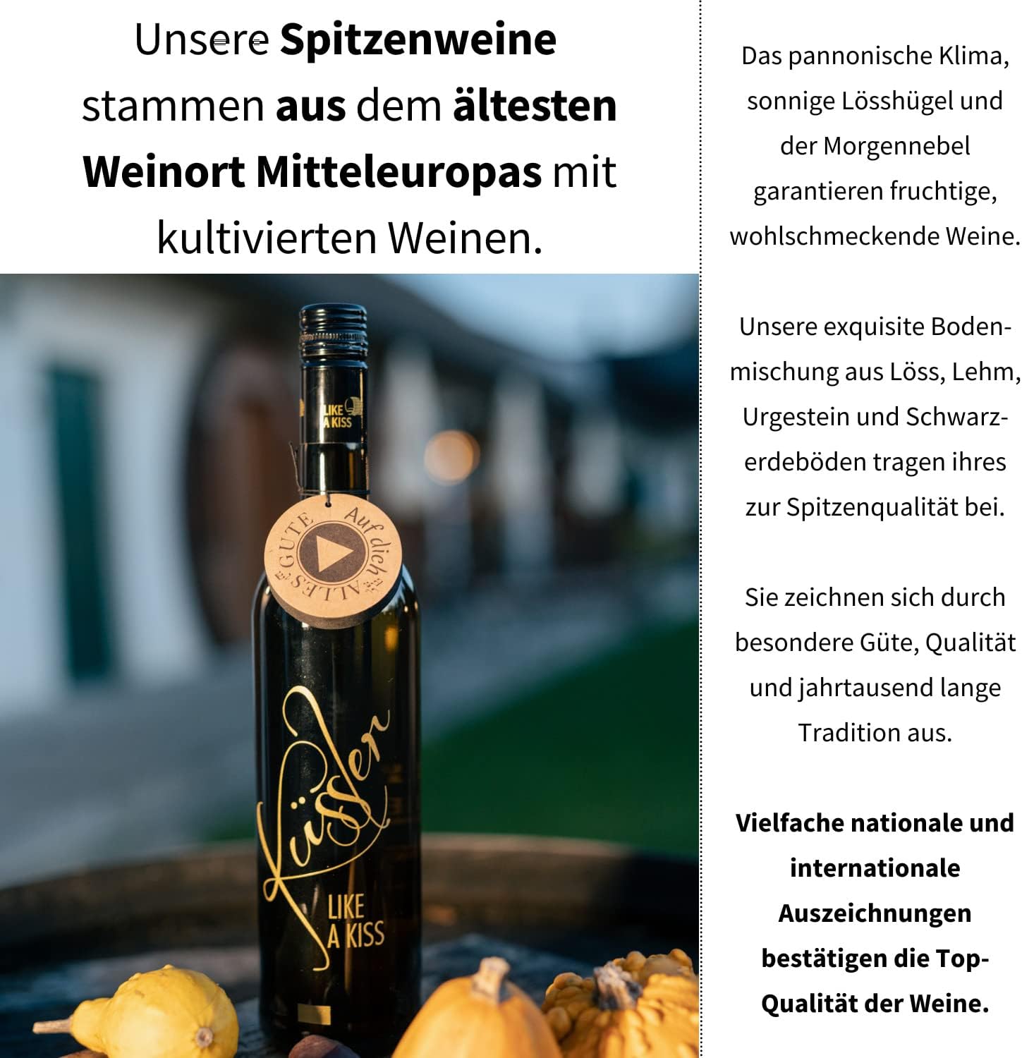 Wein-Präsentkörbe - Singender Wein zum Geburtstag – Ein Cuvée Weiß mit eigenem Geburtstagslied – in nachhaltiger Geschenkbox – Das ideale Weingeschenk! – Bild 4