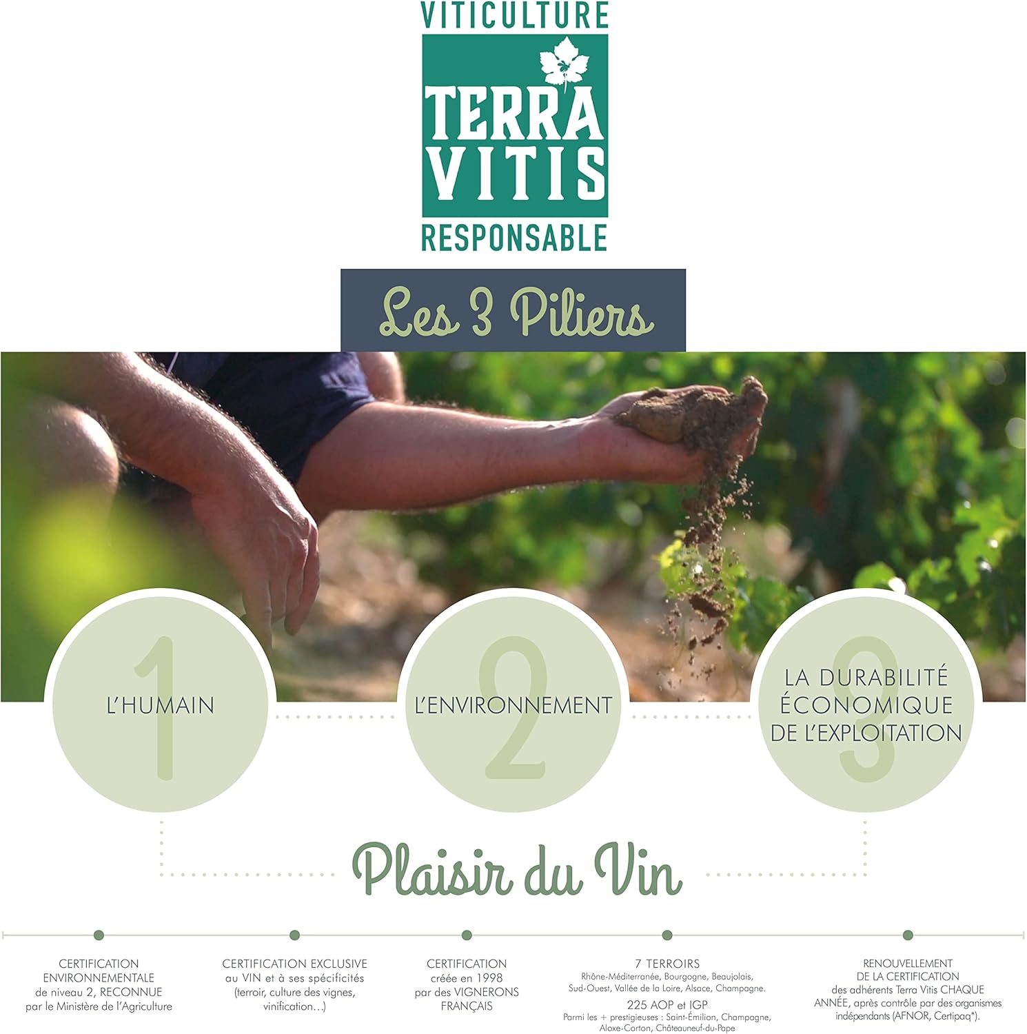 Wein-Präsentkörbe - Geschenkset in Holzkiste – Trockener Rotwein – La Griffe de Barreyres – Haut Médoc AOP – Jahrgang 2018 – Terra Vitis – Bild 6