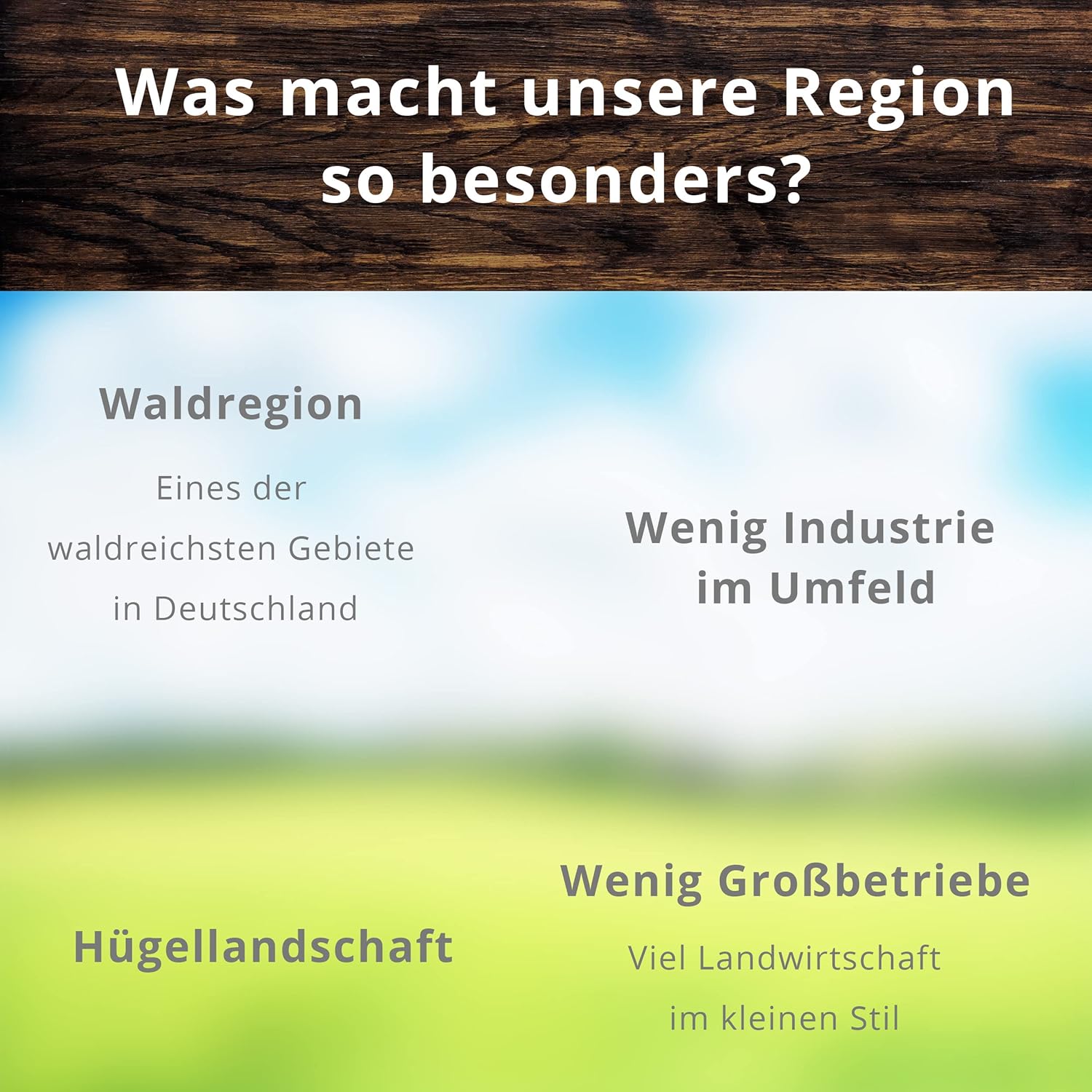 Wurst-Präsentkörbe - Landmetzgerei Schiessl Mini-Spezialpaket 2300 g I Hausmannswurstpaket glutenfrei & laktosefrei, Wurst, Schinken und Tiroler | Top-Qualität aus eigener Schlachtung als Geschenkset – Bild 5