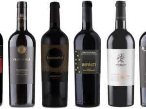Geburtstags-Präsentkörbe – Primitivo Probierpaket mit 6 Stück | Rotwein aus Apulien | Trocken | 6 x 0,75 l