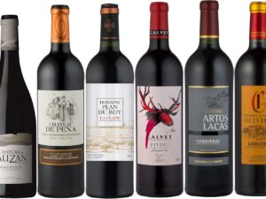 Wein-Präsentkörbe – La Grande Vinothèque – Weinverkostungspaket – Auswahl von 6 Rotweinen aus unseren Weingütern aus Südfrankreich (6 x 0,75 l)