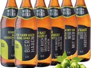 Bier-Präsentkörbe – Brauerei Zwönitz – Helles Bier 6er Set in lustigen Sprüchen Bierflaschen 0,5 L / Vollbier Light / Geschenke für Bierliebhaber / Männergeschenke
