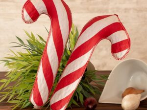 Wurst-Präsentkörbe – WURSTBARON® Salami-Zuckerstangen-Set – 2 verschiedene Sorten Salami im Zuckerstangen-Design