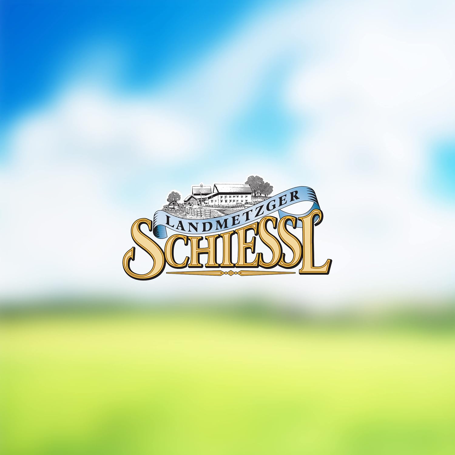 Wurst-Präsentkörbe - Landmetzgerei Schiessl Campo-Schinken, 1000 g, Hausmannswurst-Paket, glutenfreie, laktosefreie Wurst, Schinken mit leichtem Aroma, Top-Qualität aus eigener Schlachtung als dekorative Geschenkidee – Bild 7