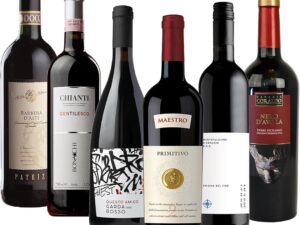 Wein-Präsentkörbe – Das Wine Guys-Probierpaket „Rotweinreise durch Italien“ | Weinpaket mit sechs verschiedenen italienischen Rotweinen (6 x 0,75 L) | Tolles Weinprobe-Set | 750 ml (6er Pack)