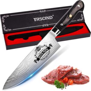 TRSCIND Kitchen Knife, Father's Day Gift for Dad, Father's Day Gift for Dad, Father, Men, Stepdad, Birthday Gift for Men, Chef's Knife, Professional Knife Sharp, Chef's Knife Made of Stainless Steel