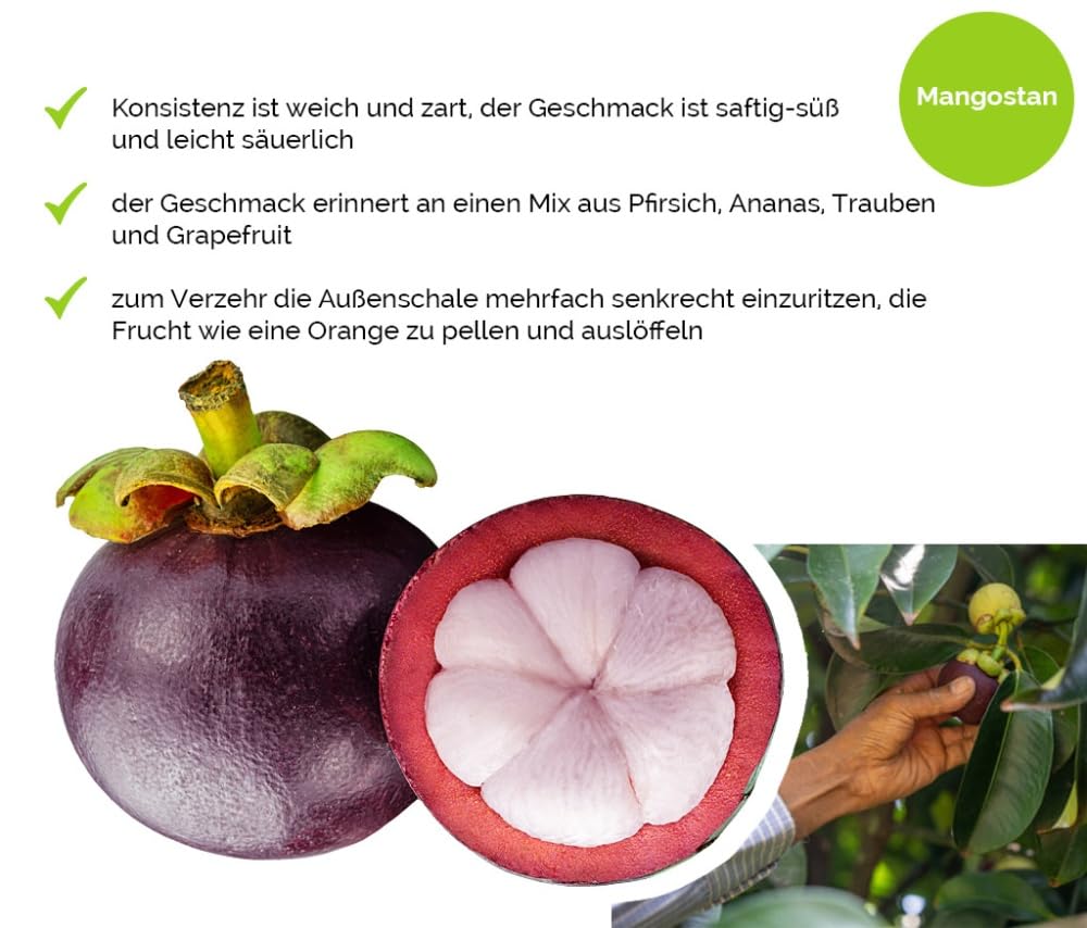 Hansen Obst Gift Box "Exotic Happiness Moments" with Gift Box "Die Margarite" - Gift with Fresh Fruit - Fruit Box - Exotic Fruits – Bild 3