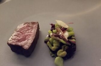 MICHELIN Südwesten der USA 2026 – auch zum Download – Gourmet Report