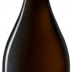 Chavost Champagne Paradoxe Brut Nature 75 cl Bottle
