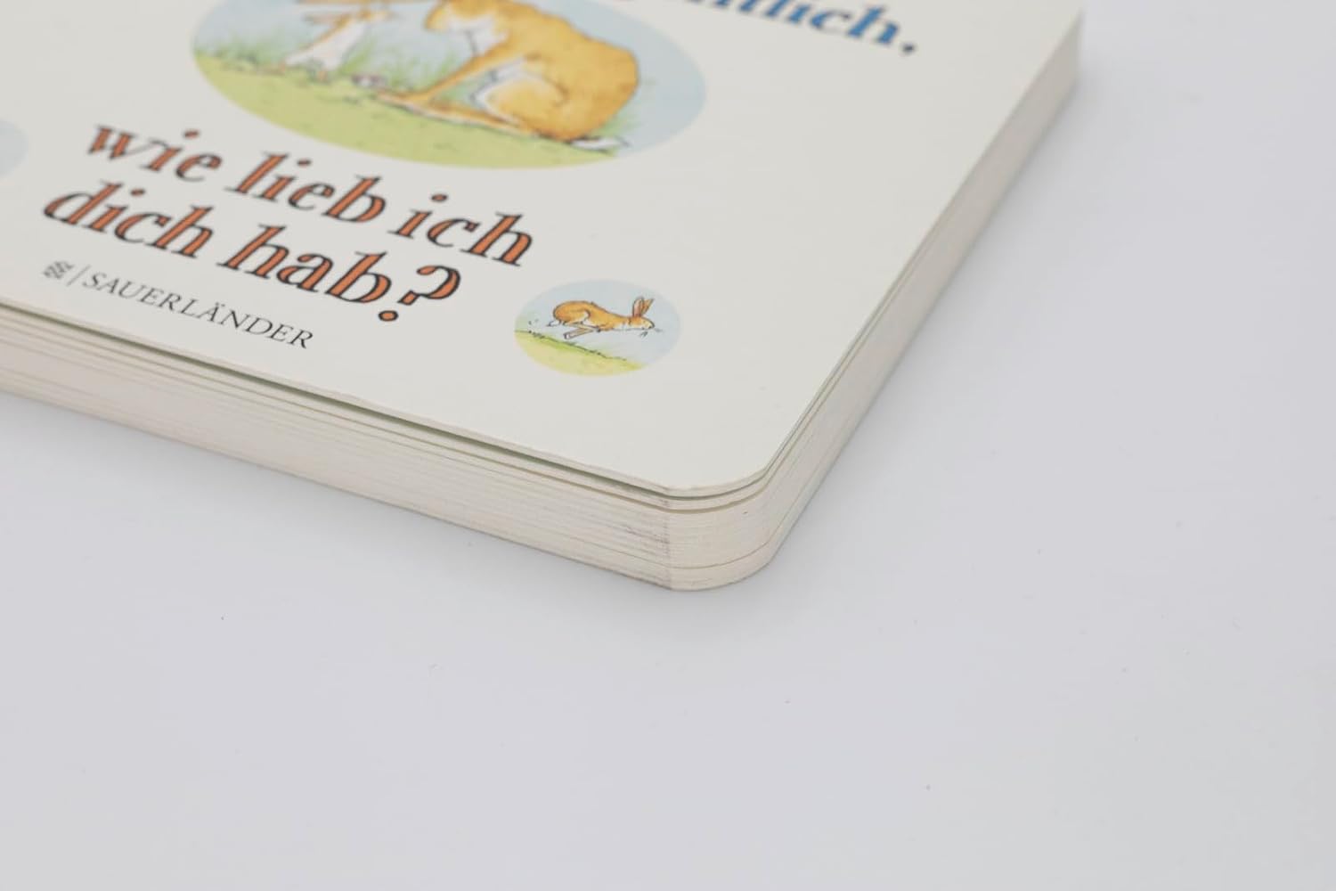 Weißt du eigentlich, wie lieb ich dich hab?: Kleines Pappbilderbuch │ Liebevolles Geschenk zu Taufe oder Geburtstag für Kinder ab 2 Jahren – Bild 4