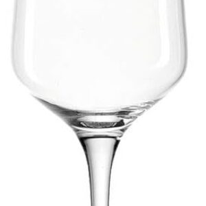 Leonardo Puccini Champagne Glass, 1 Piece, Dishwasher Safe Prosecco Glass