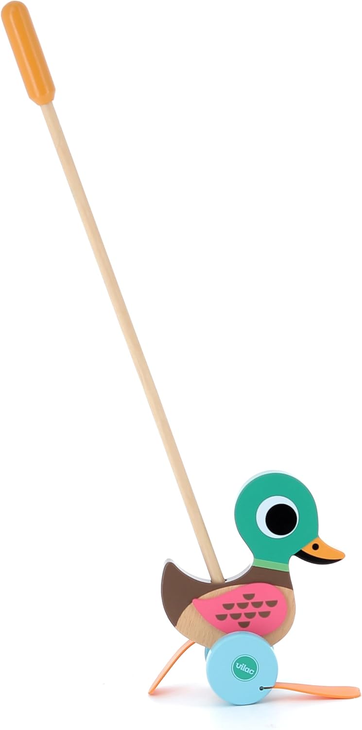 Push Duck Toy for the Smallest Baby from 10 Months – Bild 5