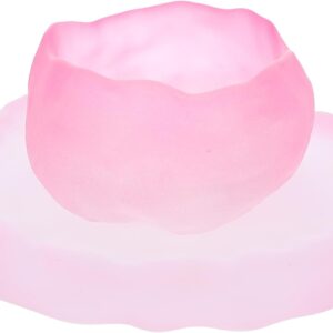 VALICLUD Rosa Teetassen aus Hitzebeständigem Glas 55ml mit Untertasse Geschenkset für Tee und Kaffee Genuss im Alltag