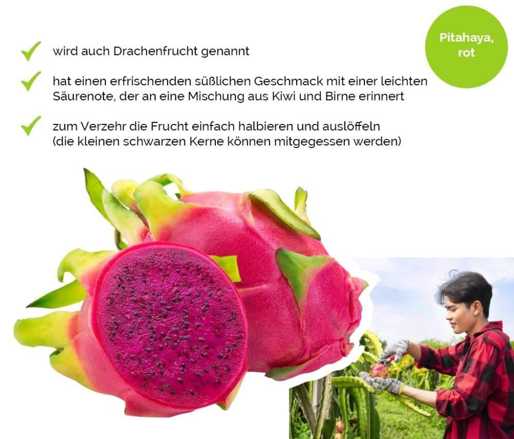 Hansen Obst Gift Box "Exotic Adventure" with Gift Box "Die Moderne" - Gift with Fresh Fruit - Fruit Box - Exotic Fruits – Bild 2