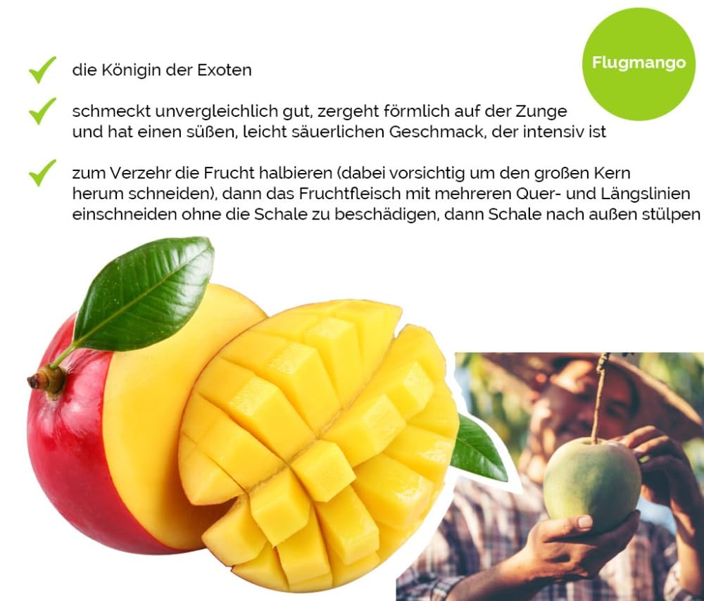 Hansen Obst Gift Box "Exotic Adventure" with Gift Box "Die Moderne" - Gift with Fresh Fruit - Fruit Box - Exotic Fruits – Bild 5