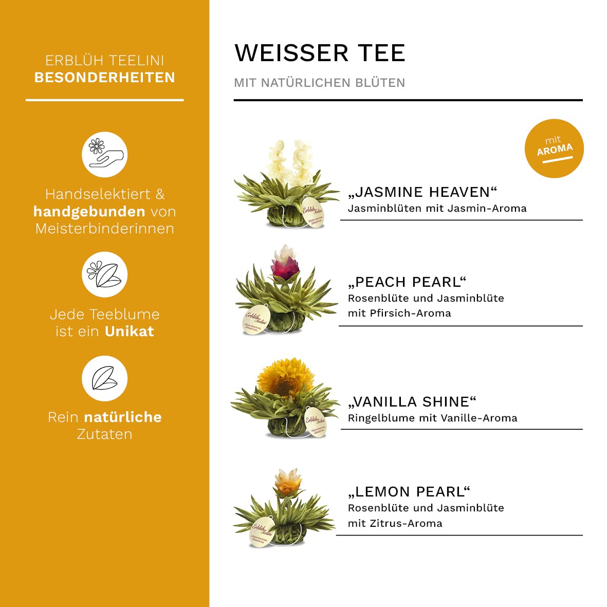 Creano ErblühTeelini Tea Flowers Gift Set with Tea Glass and 8 Tea Flowers in Cup Format, White Tea – Bild 2