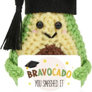 Hukuma Pocket Hug Avocado, Bachelor Gift Avocado Cuddly Toy, Crochet Emotional Support Gifts, Crochet Lucky Charm, Master Degree Gift, Passed Exam Gifts