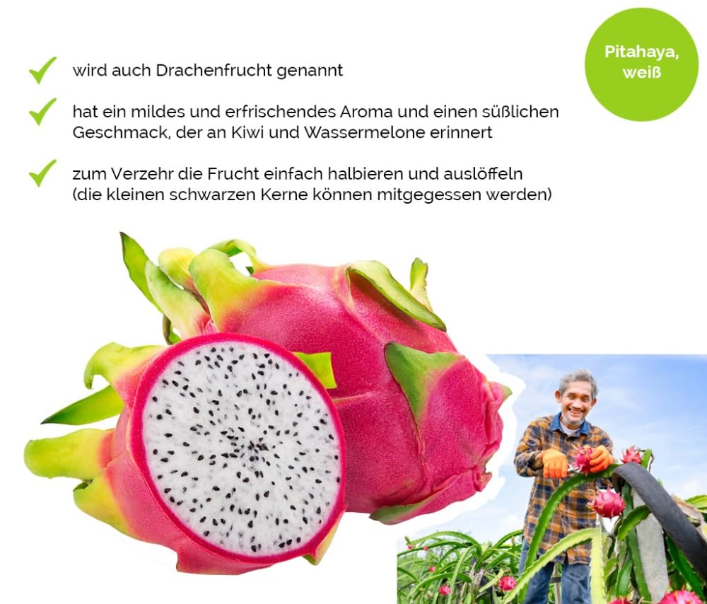 Hansen Obst Gift Box "Exotic Happiness Moments" with Gift Box "Die Margarite" - Gift with Fresh Fruit - Fruit Box - Exotic Fruits – Bild 2