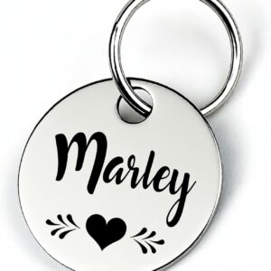 GOLDEN PAW Dog Tag with Engraving, Name Plate with Phone Number, Address for Collar - Robust Stainless Steel Animal Tag, Pendant for Dogs, Cats, Horses & Puppies | Silver