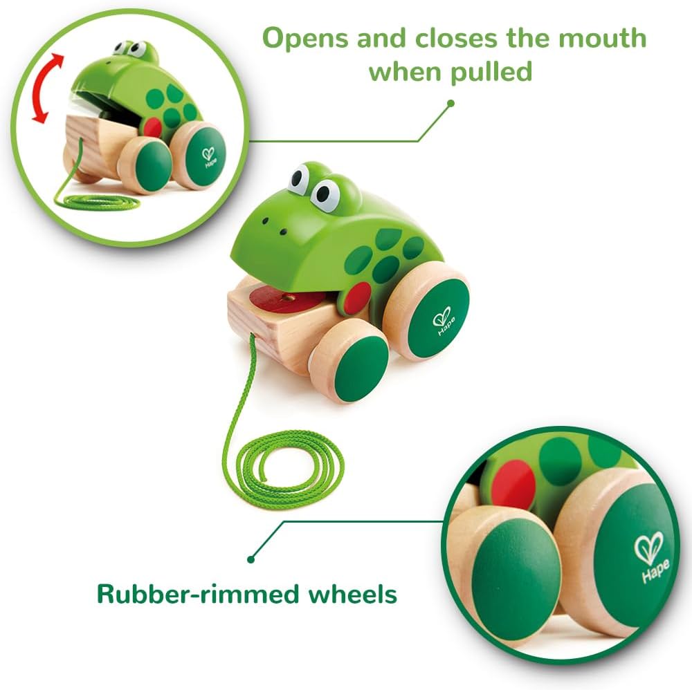 Hape E0361 Children’s Fridolin Pull-Along Frog, Multicoloured Toy – Bild 5