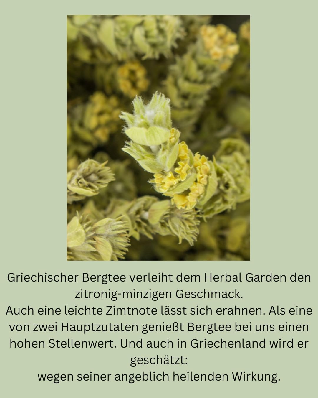 Tea Royal - Herbal Garden | Sparkling Tea | Non-Alcoholic Champagne Alternative | Non-Alcoholic Champagne Alternative | Instead of Non-Alcoholic Wine | Non-Alcoholic Aperitif (Herbal Garden) – Bild 6
