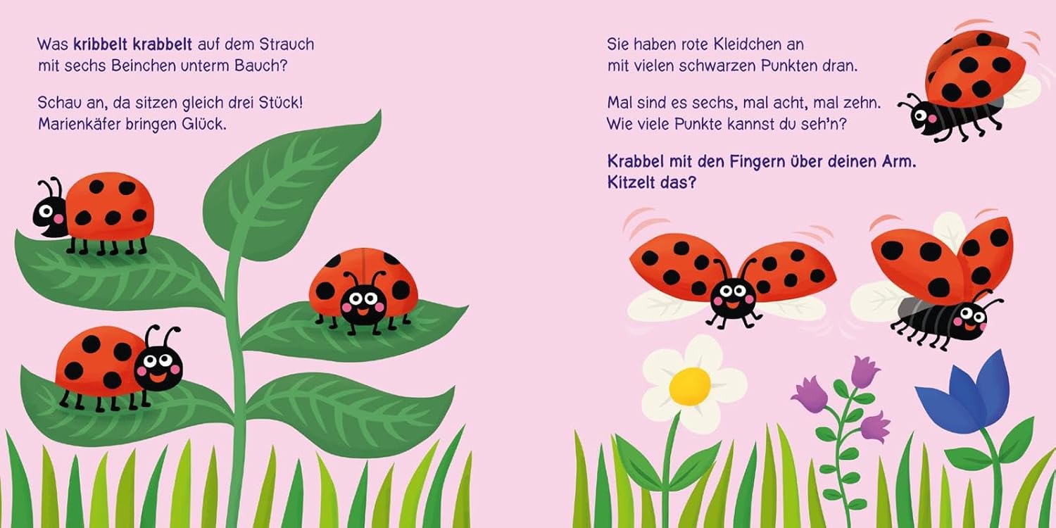 Baby Pixi (unkaputtbar) 160: Wer kribbelt und krabbelt denn da?: Unzerstörbares Baby-Buch ab 12 Monaten rund um Tiere im Frühling – auch als Badebuch geeignet (160) – Bild 5