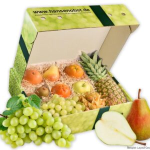 Hansen Obst Gift Box „Get Well Greeting“ with Gift Packaging „Die Moderne“ – Gift with Fresh Fruit – Fruit Box – Gift for Get Well Wishes