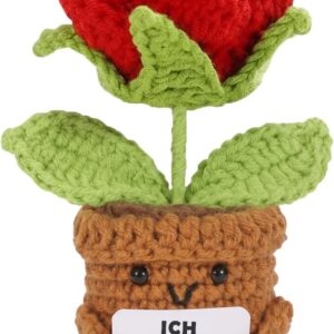I Love You Gifts for Women Men, Handmade Roses Home Decoration, Partner Gifts, Wedding Anniversary, Anniversary Gift for Him and Him