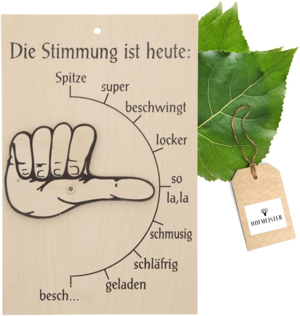 HOFMEISTER® Mood Barometer