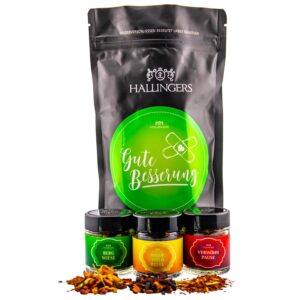 Hallingers Genuss Manufaktur Delicatessen Gift Set – Quality in the Wonder Bag "Get Well Soon", Small Convalescence Greeting with 3 Teas Herbal Tea, Fruit Tea & Roibuschtea, Gift Idea for Men and Women