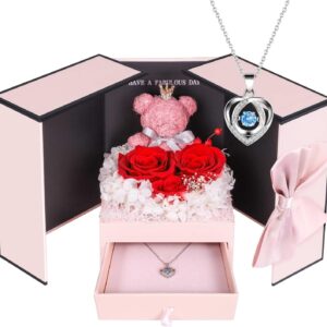 ADDWel Eternal Rose Gift Set for Women – Rose Bear & 925 Sterling Silver Necklace, Preserved Rose Box, Gift for Girlfriend, Mum, Grandma for Birthday, Anniversary, Christmas