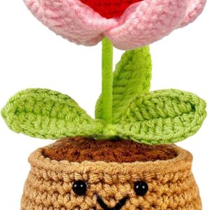 Gifts for Women Small Thank You Gift Crochet Heart Lucky Charm Decoration Birthday Gift for Women Best Friend Gifts Thank You Christmas Valentine’s Day Anniversary Gift for Her Him