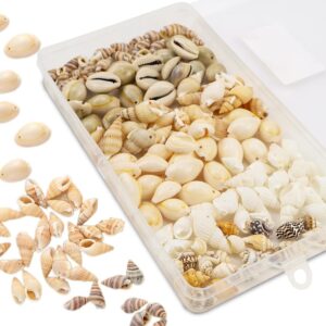 Raxfekro Pack of 120 Shells Decoration with Hole, 6 Styles for Crafts, Natural Shell Beads for Jewellery, Kauris Shells for Threading, 12-15 mm