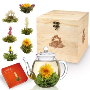 Creano Tea Flower Mix Gift Set with 500 ml Teapot in Elegant Wooden Box with 6 Different Varieties of Blooming Tea (White Tea)