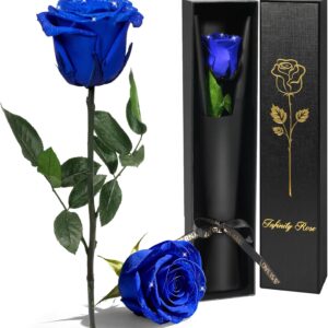 Yamonic Mother’s Day Gift, Eternal Rose Gifts for Women, Infinity Rose with Stem, Mother’s Day Gifts Mum, Real Rose in Gift Box, Preserved Flowers Gift, Mother’s Day, Valentine’s Day, Blue Rose