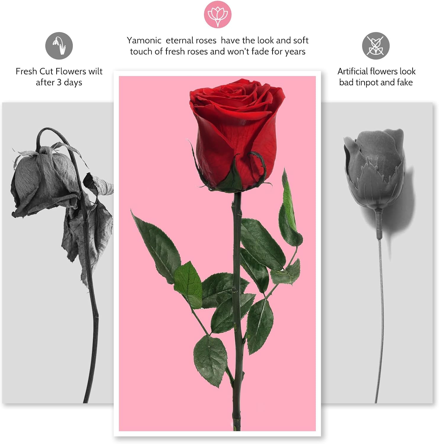 Yamonic Eternal Rose Gifts for Women, Infinity Rose with Stem, Birthday Gift Women, Real Rose in Gift Box, Gifts for Mum, Preserved Flower Gift, Valentine's Day, Christmas, Red Rose – Bild 6