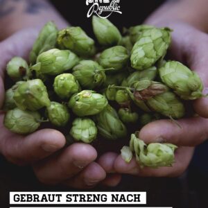 CREW REPUBLIC Craft Beer IPA Mix Tasting Set (20 x 0.33 L) – World Beer Awards Winner – Brewed according to Purity Law – Gifts for Men – Includes 5€ Disposable Deposit