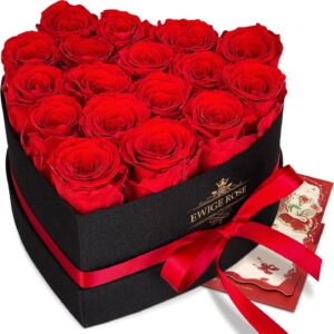 17 Infinity Roses, Eternal Red Rose Gifts for Women, Preserved Rose in Heart Box for Women Mother for Birthday Anniversary Valentine’s Day Mother’s Day Christmas Wedding Anniversary Rose Box