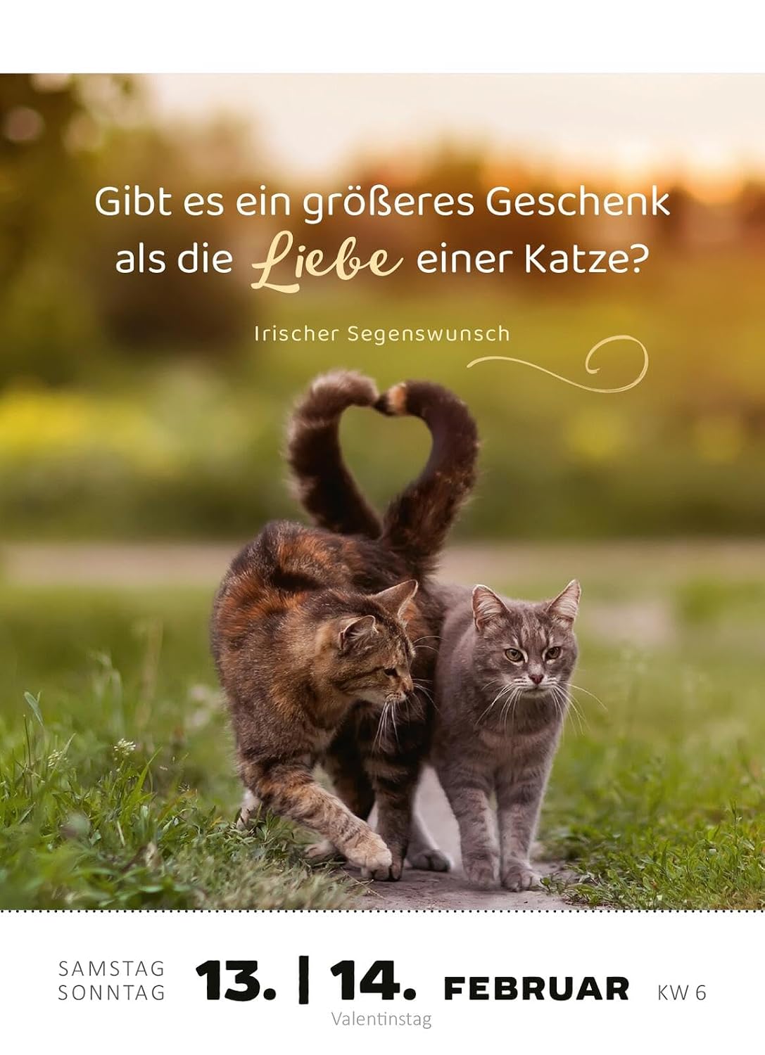 Abreißkalender Katzenweisheiten 2027: Für alle Katzenfans zum Aufstellen oder Aufhängen – Bild 2