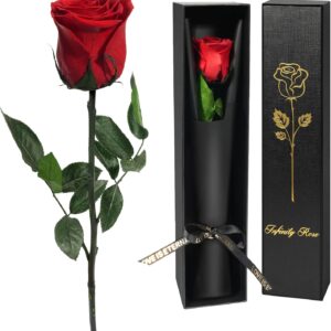 Yamonic Eternal Rose Gifts for Women, Infinity Rose with Stem, Birthday Gift Women, Real Rose in Gift Box, Gifts for Mum, Preserved Flower Gift, Valentine’s Day, Christmas, Red Rose