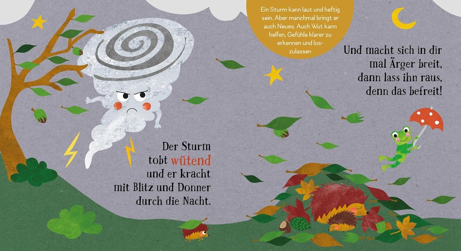 Baby Pixi (unkaputtbar) 176: Spür in dich hinein: Regen oder Sonnenschein?: Gefühle erkennen für ganz Kleine | Unzerstörbares Baby-Buch ab 12 Monaten über Gefühle und Emotionen (176) – Bild 6