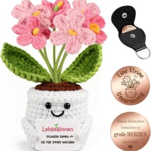 Giftota Thank You Gift for Teachers – Pocket Hug Forget Me Not