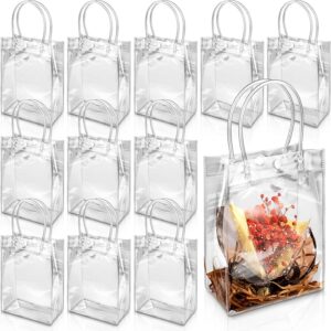 LATERN Pack of 25 Clear Gift Bags with Handles, 23 cm x 17 cm x 7 cm, Reusable PVC Tote Bags, Transparent Changing Bags for Shopping, Boutique, Wedding, Birthday, Baby Shower, Guest Gift