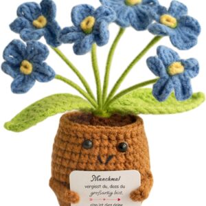 Gifts for Women, Girlfriend, Gifts for Mum, for Sisters, Forget-Me-Not Gifts for Women, Inspirational Gifts for Girlfriend, Sister, Colleague, Wife, Aunt and Mother