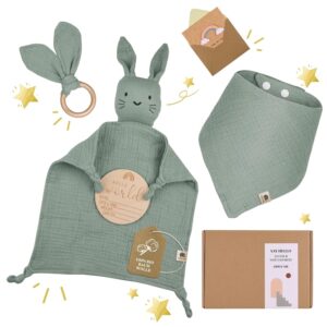 Newborn Gift Boy | Newborn Gift | Baby Gift Boy | Gifts for Birth for Girls | Comforter Baby Shower Gift Set Babyy Gifts Girls