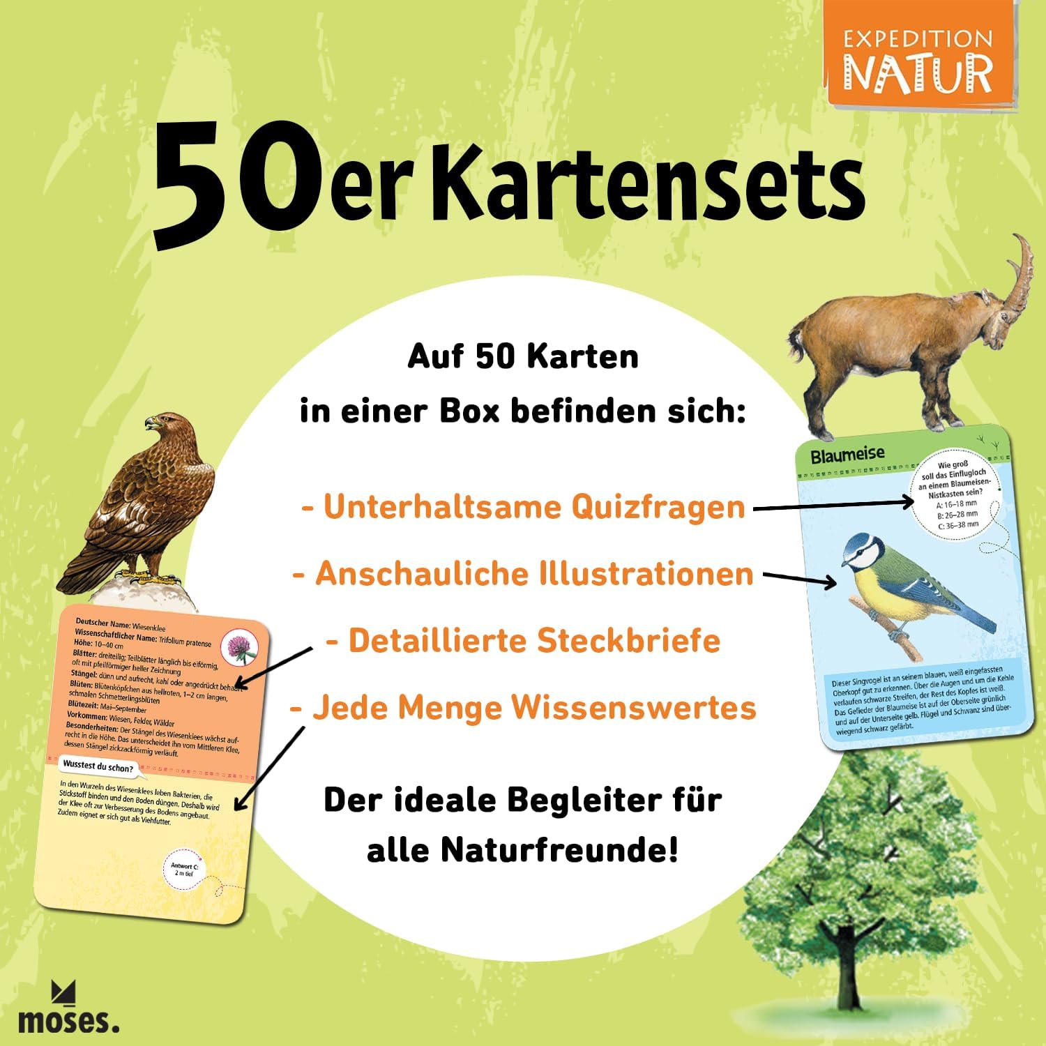 Moses 9740 Expedition Natur, 50 Constellations and Planets | Provision Cards in Set | With Exciting Quiz Questions – Bild 4