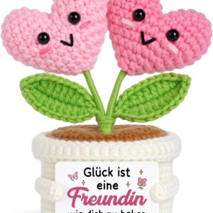 Juratar Best Friend Gifts – Handmade Crochet Flower with Heart in Pot, Girlfriend Gift Birthday, Friendship Gift